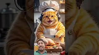 cat ai short video 2026 cat funny video