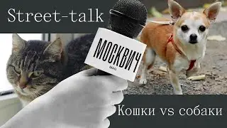 Street talk: нужны ли москвичам домашние животные?