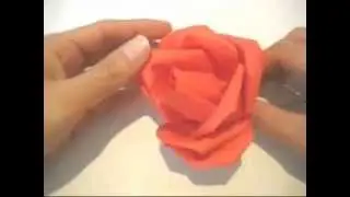 How to Fold a Dollar Bill Into a Rose