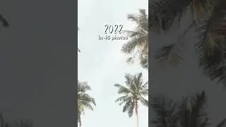2022 in 45 photos