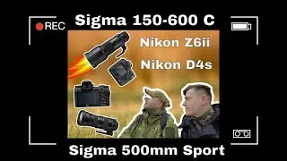 Fotografia przyrodnicza  Nikon  Z6 II  Nikon D4s   Sigma 150-600 C   Sigma F/4 500mm Sport