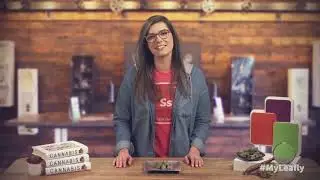 Cannabis 101: В чем разница между видами Индика, Сатива и гибридом?