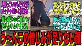 【競馬の反応集】「エバヤンさん、運命に噛みついてしまう」に対する視聴者の反応集