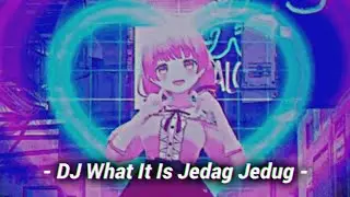 DJ What It Is Jedag Jedug Viral TikTok [ @nabihikoo X @Frendyyt2  ]