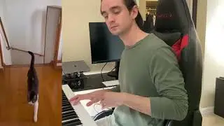 Jazz Cat