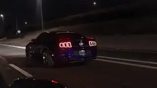 ALL MOTOR MUSTANG S197 VS MUSTANG S550