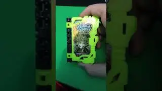 Dx wonder ride book Needle Hedgehog #2