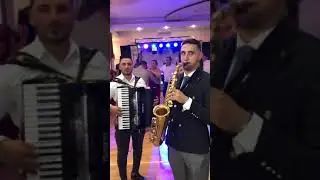 Formatie nunta Moinesti, Bacau , Vaslui , Iasi! 0741 459 242