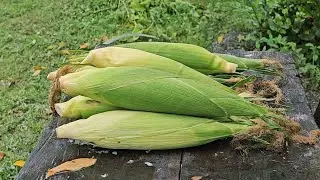 BULANGLANG NA MAIS | PAGKAING BUKID | OUTDOOR COOKING |Team AgustinTV 