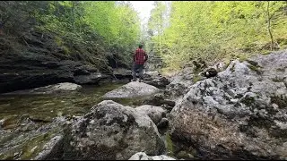 Terre à bois à vendre : 108 acres dans le Parc du Massif du Sud - Visite guidée
