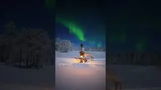 Walking with the reindeer in the middle of snowy trees with northern lights is pure magic❄️✨#finland