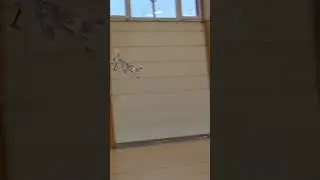 2&egrave;me vol indoor