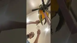 تعديل الريشات المتضررة ببخار الماء