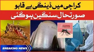 Dengue Cases Increase in Karachi | Dengue Virus Latest Updates | Breaking News