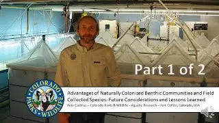 SETAC 2021 Cadmus Part 1- Advantages of Colonized Benthic Communities and Field Collected Species