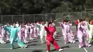Tai Chi 24 Form Style