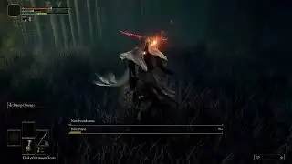 Elden Ring guides: Unlock and fight Nox Swordstress/Priest