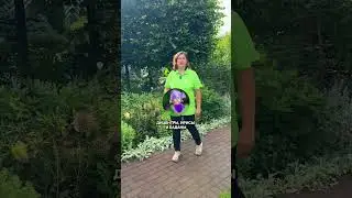 Лучшая подборка цветов для участка в тени!