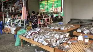 Herbs Sold at a Vietnamese Rest Stop (1 Min)