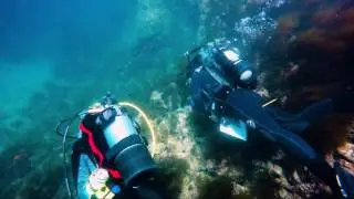 Your Earth Is Blue: How You Can Help Fight Invasive Species