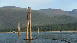 Needles Ferry
