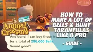 HOW TO FARM BELLS & TARANTULAS LIKE A PRO | ANIMAL CROSSING: NEW HORIZONS