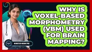 Why Is Voxel-Based Morphometry (VBM) Used For Brain Mapping? - Neurotech Insight Pro