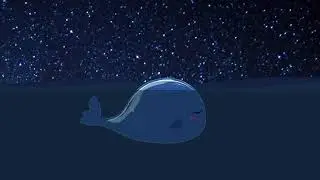 the 52hz whale