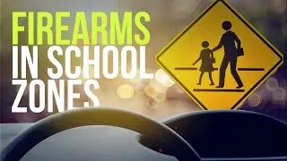 Firearms in School Zones - Florida