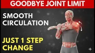 Slow Shoulder Stretch for Smooth Circulation in the Upper Body for Seniors