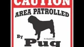 Call of Duty Black Ops 2 Short Clip: The Clutching Pug #3