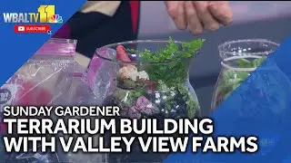 Building terrariums on Sunday Gardener