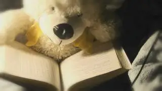DUBSTEP BEAR