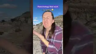 Paleontology Expectations vs Reality 😂 #paleontology #shorts #funny