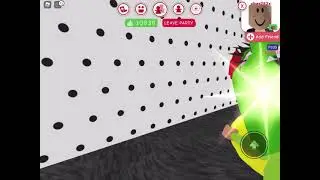 frog raiders