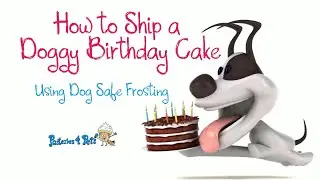 How to Ship a Cake for a Dog's Birthday