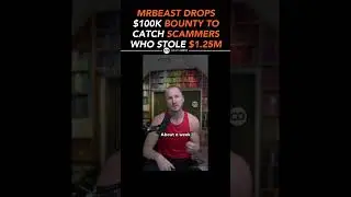 MRBEAST DROPS $100K BOUNTY TO CATCH SCAMMERS WHO STOLE $1.25M