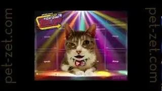 BOB Cat joins those whacky kittens playing Whack a Kitty on Zinema!