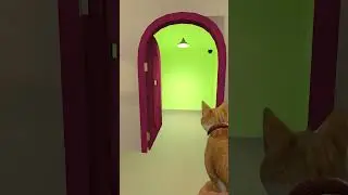 Find The Correct Door Of Rainbow Catnap! #shorts