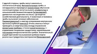 Грибы Микоз Грибковая инфекция
