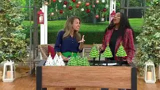 Mr. Christmas S/3 Illuminated Nostalgic Trees with Removable Pathway Stakes on QVC