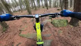 Grenoside Woods DH3