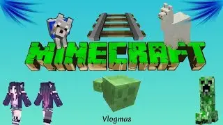 Minecraft Minecart Series | Unboxings