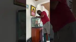  Primera parte de  como arma  un acuario de 40 glns s&uacute;per sencillo 🐠🐟