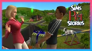 The Sims Pet Stories - Наше первое шоу собак!