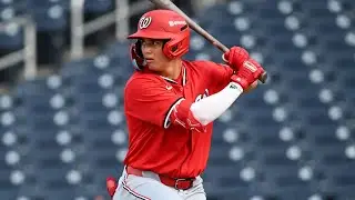 Brenner Cox 2024 Minor League Highlights!