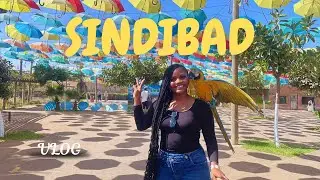 Mini vlog: journ&eacute;e fun &agrave; Sindibad, toboggan🛝 man&egrave;ges 🎠 