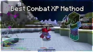 The Best Combat XP Method (Hypixel SkyBlock)