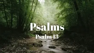 January 11, 2025 Union Christian Church Live