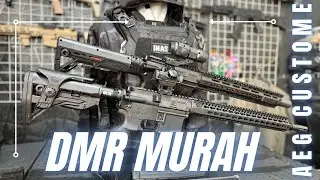 Performa DMR harga murah dan murah banget | AEg WGB Spring konversi